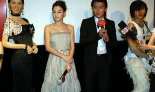 谢霆锋个人蜡像