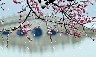 适合聊天背景的壁纸