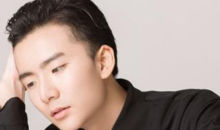 最佳导演张艺谋 最佳导演张艺谋