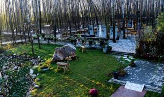 西部手机联盟 西部手机联盟